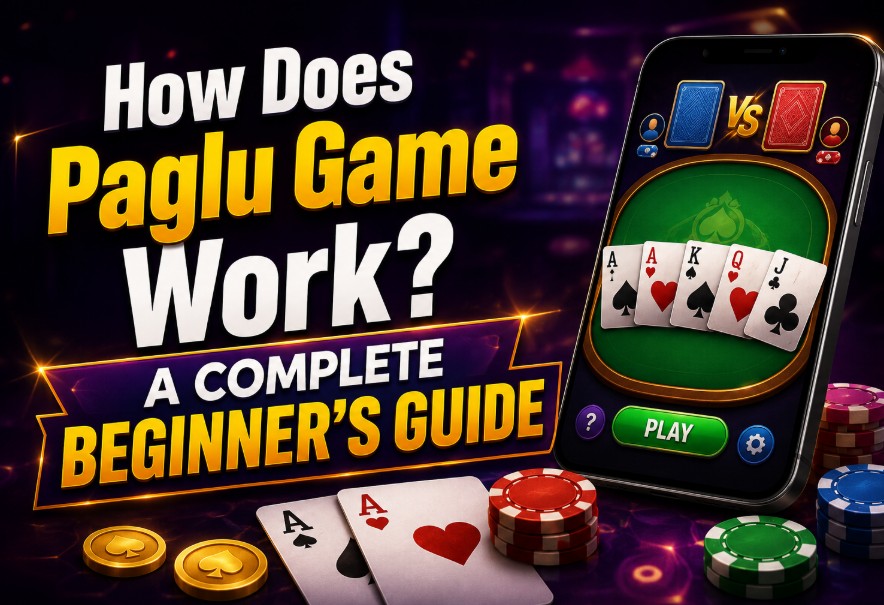 How Does Paglu Game Work? A Complete Beginner’s Guide